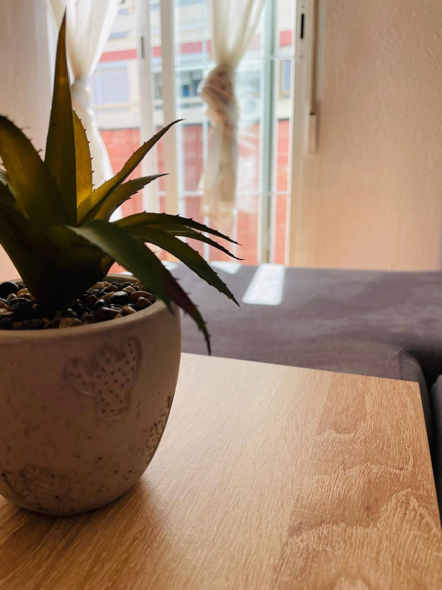 Apartamento El Pocito قرطبة المظهر الخارجي الصورة
